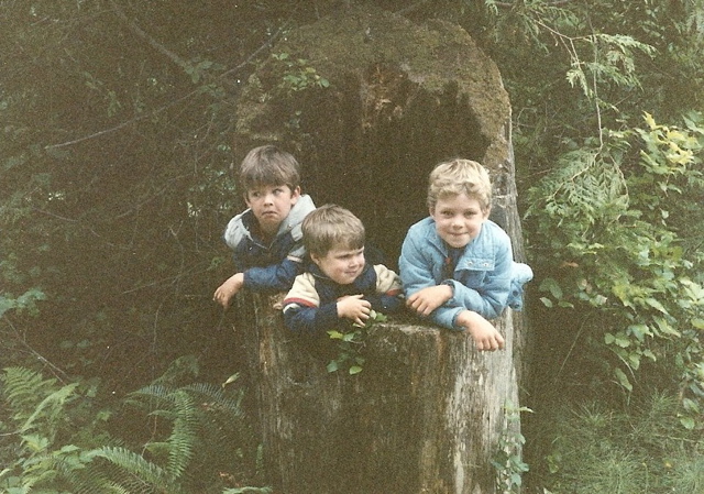 tree